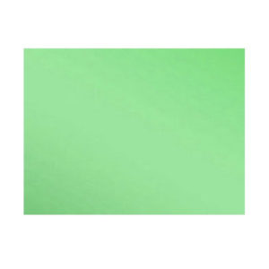 Cartolina Verde 50×66 120g – Pilar